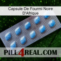 Africa Black Ant Capsule viagra3